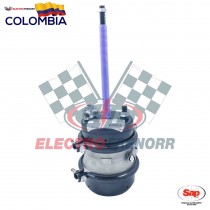 CAMARA T20 PISADA 24 SAP