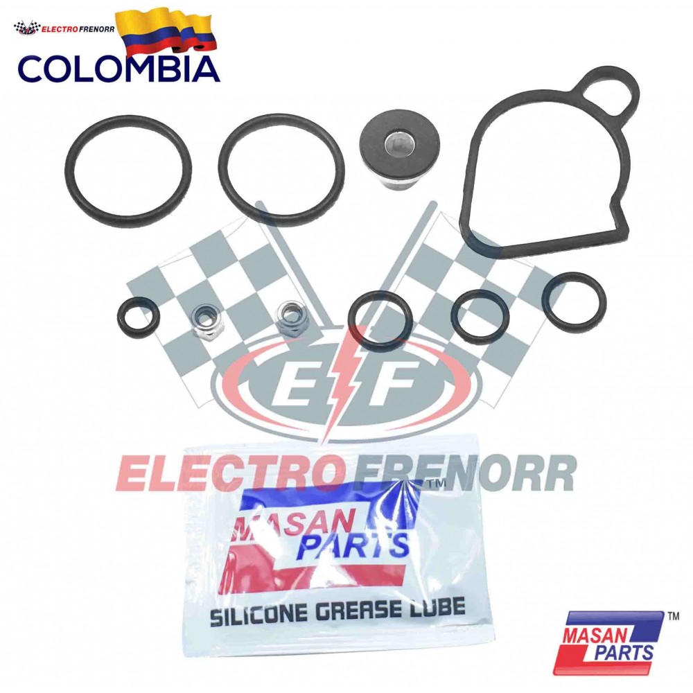 EMPAQUETADURA VALVULA MULTISERVICIOS PALANCON KNORR MASAN PARTS