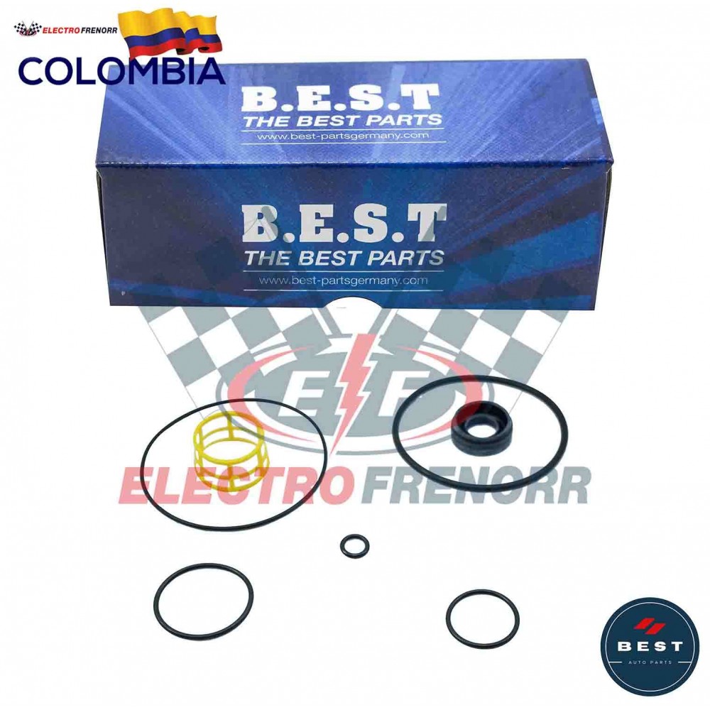 EMPAQUETADURA REPARACION VALV RELAY BEST