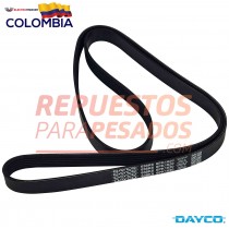 CORREA AA HI PAYSTAR 08-12 PROSTAR DAYCO