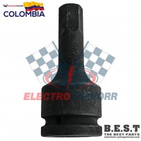 COPA PUNTA BRISTOL...