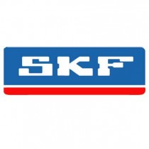 RETEN -6000 SKF