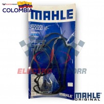 EMPAQUE CARTER DETROIT...