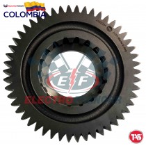 PIÑON 2DA CDZO 14718-16918 TAS