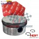 PISTON 100MM  Y ANILLOS...