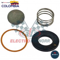 EMPAQUETADURA CULATA...