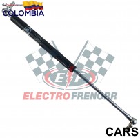 AMORTIGUADOR 300 NW CARS