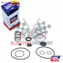 JUEGO REPARACION DE VALVULA...