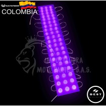MODULO O CAPSULA 3 LED MORADO 24V